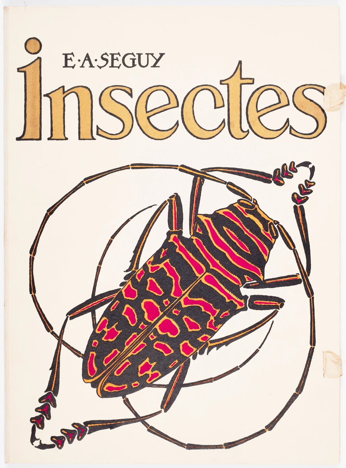 Insectes, c. 1925